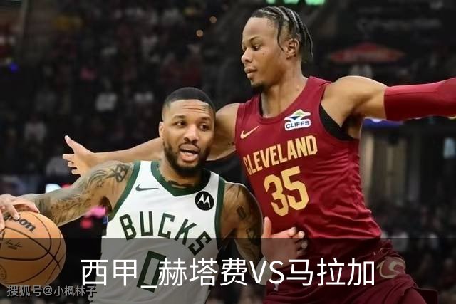 西甲 赫塔费VS马拉加